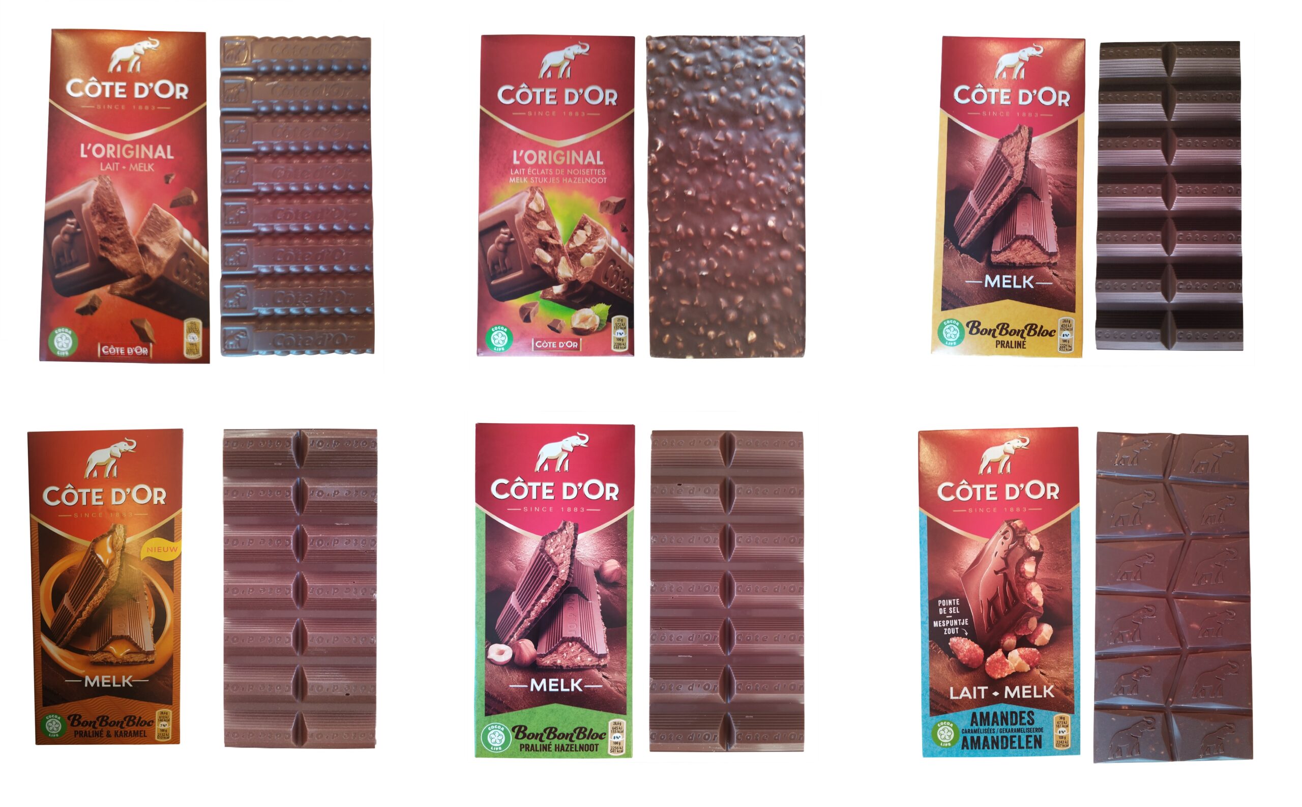 Cote d'Or Chocolate Bars — Tree of Chocolate