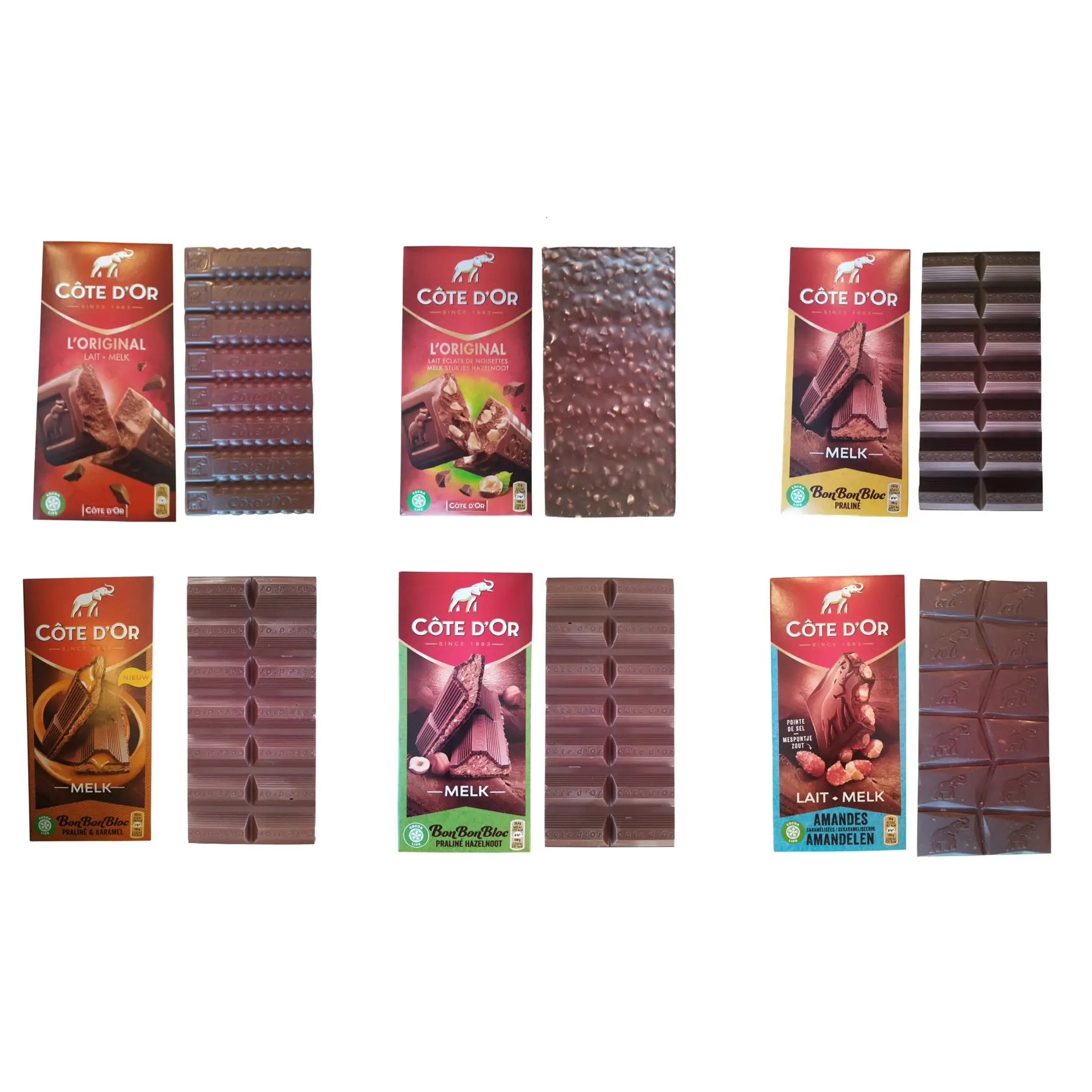 Chocolat au lait Cote d'Or | Tablettes de chocolat belge | 6 tablettes XL de chocolat au lait belge | Assortiment personnalisé de 6 tablettes de chocolat Cote d'Or | Poids total : 39,83 onces
