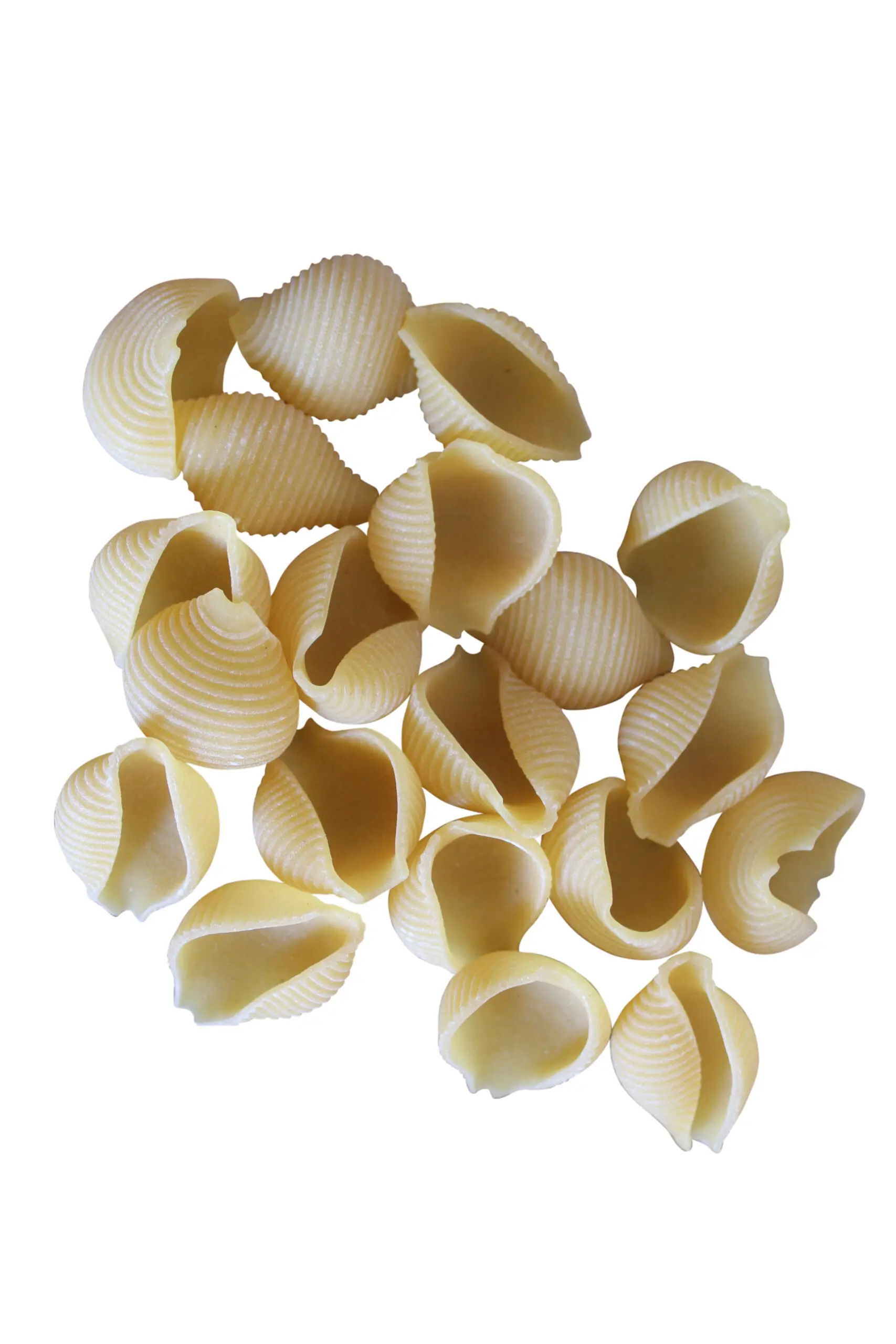 Rummo Pasta | Conchiglie Pasta | Rummo Conchiglie Pasta | Rummo | 17.63 Ounce Total Weight - Image 3