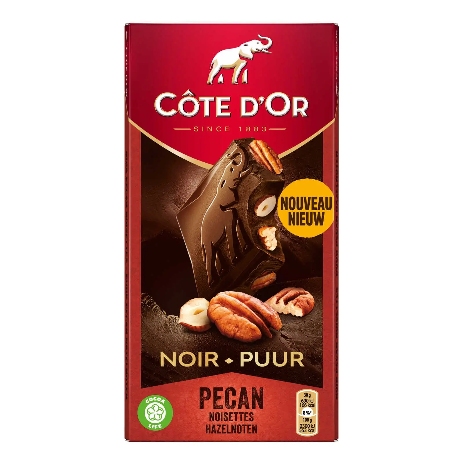 Côte D Or Belgische Schokolade | Tafel mit Pekannüssen | Côte D'Or Schokolade | Belgische Schokolade, hergestellt in Belgien Côte D'Or | 6,3 Unzen insgesamt