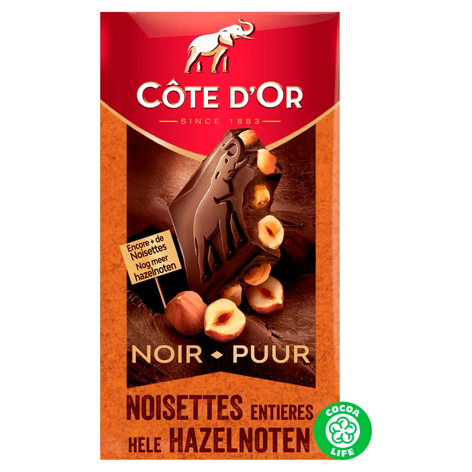Côte D Or Belgische Schokolade | Bloc Dunkle Schokoladentafel mit ganzen Haselnüssen | Côte D'Or Schokoladen | Belgische Schokoladen, hergestellt in Belgien Côte D'Or | Insgesamt 6,3 Unzen