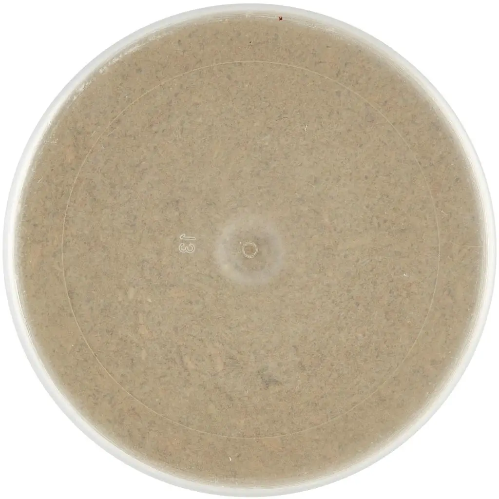 Especiarias Ubena | Sabor a Peixe Ubena | Especiarias e temperos italianos | Especiarias e temperos italianos da Itália | 6,3 onças no total - Image 9